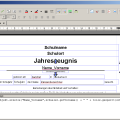 zeugniseditor_edit-mode_scripting.png